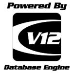 logo V12 Database Engine