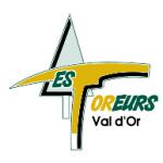 logo Val-d'Or Foreurs
