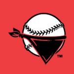 logo Quad City River Bandits(19)