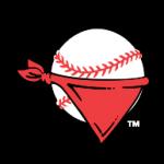 logo Quad City River Bandits(20)