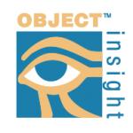 logo Object Insight