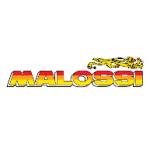 logo Malossi