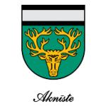 logo Akniste