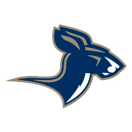 logo Akron Zips(150)