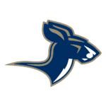 logo Akron Zips(150)