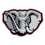 logo Alabama Crimson Tide(160)