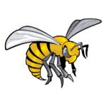 logo Alabama State Hornets(162)